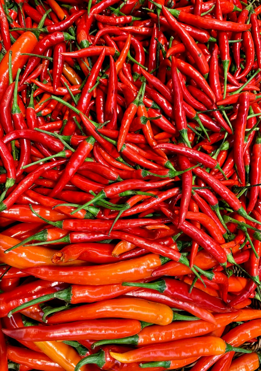 A heap of fresh red chillies